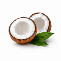 Coconut Oil