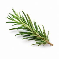 Rosemary